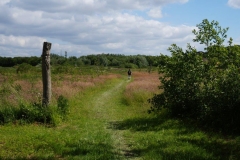 Ruytershovetocht 2015