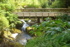 2019 Zwarte Woud Dag 3 Triberg