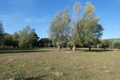 Stoomtuigwandeling 07-09-2025