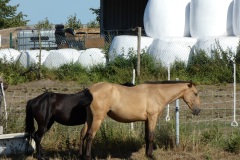 Stoomtuigwandeling 07-09-2025