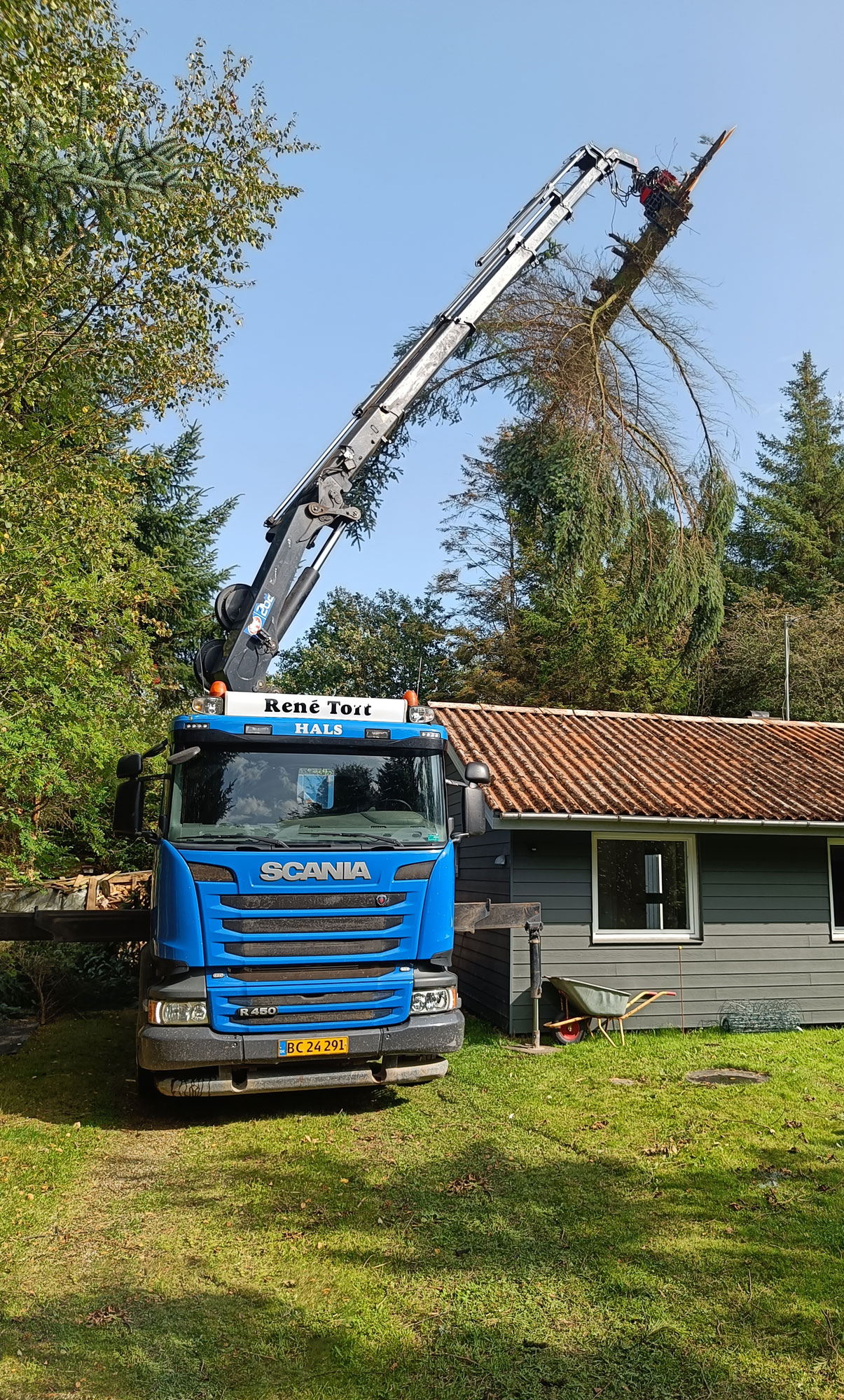 træfældning med lastbil og fældegrab. Oprydning efter storm