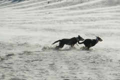 ...... so richtig flitzen am Strand ......