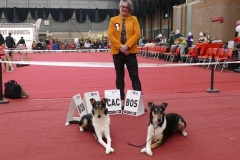 Mia (l) & Charlie (r) mit der Richterin Frau Anita van Bussel