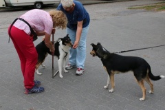 Josie schaut Emmy beim Messen zu ;-)