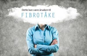 fibrotåke 2