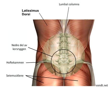bol u donjem dijelu leđa i zgnječenje zglobova)