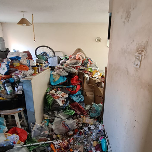 hoarder clearance, piles of rubbish, rotting food, Telford