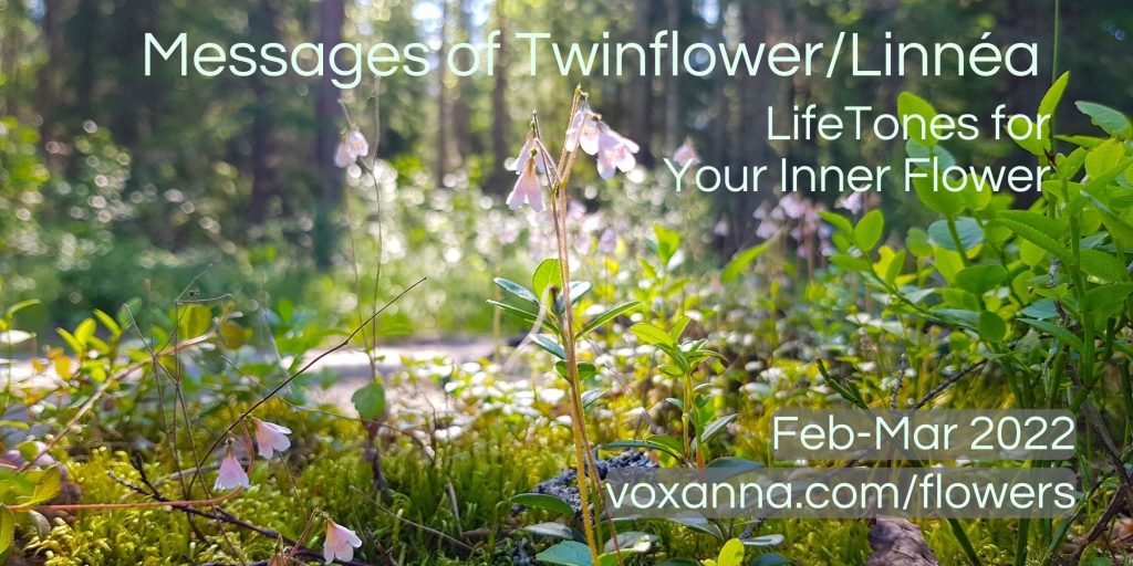 Messages of Twinflower