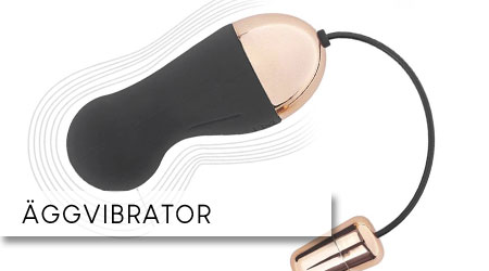 ÄGGVIBRATOR