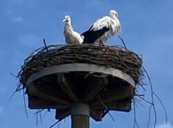 IMG_5869