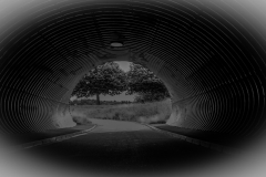 E-V065761-Tunnel