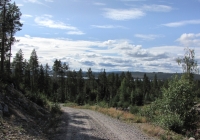 f-70981-skogsbilväg i Orsa Finnmark