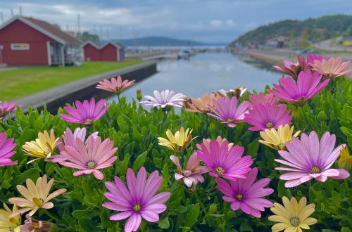 Henån - Fotograf Tryggve Rinaldo