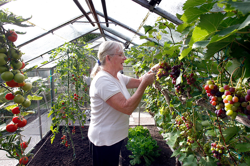 Wijktuin-VTV-Blijdorp-8