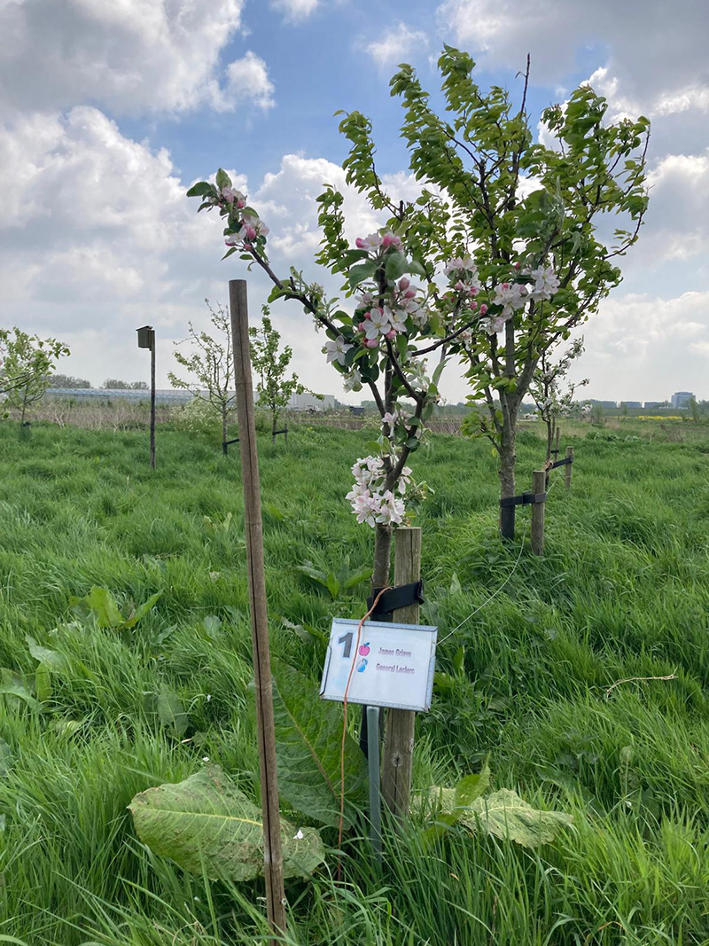 Herenboeren 6