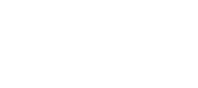 VUES LOGO-web-300pxh