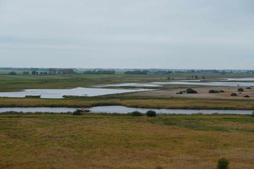 Kolummerwaard vanuit de Roerdomp 