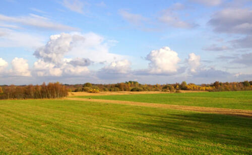 NeustadterMoor VergezichtVer