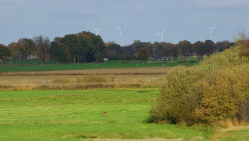 NeustadtweMoor Vergezicht