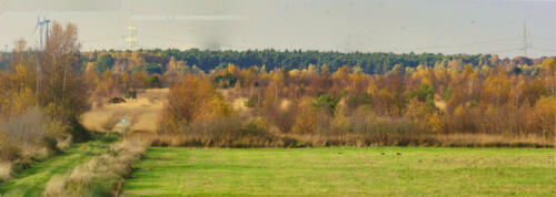 Panorama Neustadtermoor