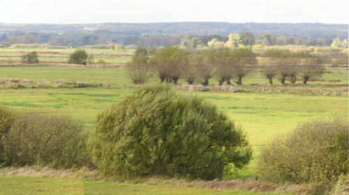 OchsenMoor Landindeling