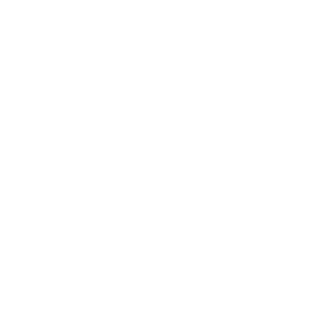 Växjö skate
