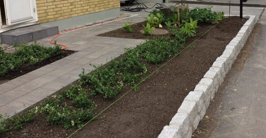 Plantering framför hus