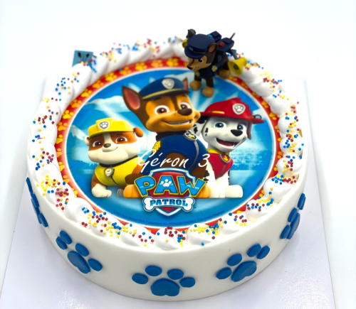 w-ice verjaardag paw patrol