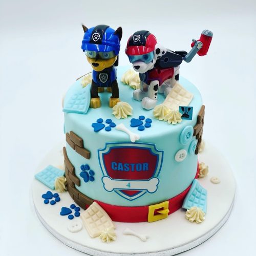 paw patrol bisc