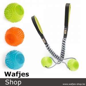 wafjes-bungee-ball