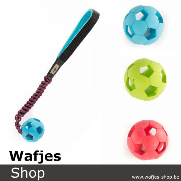 wafjes-bungee-soccer