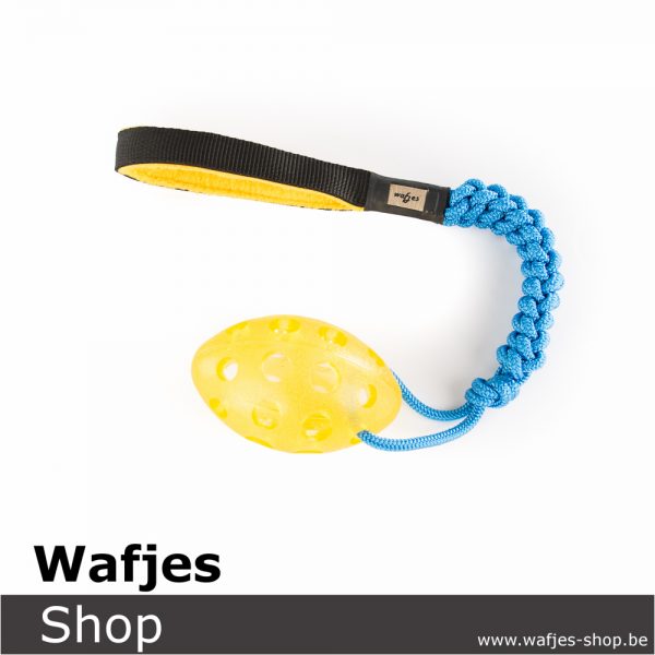 Wafjes-bungee-football