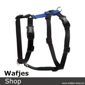 Blue-9-Balance-Harness