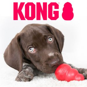 KONG