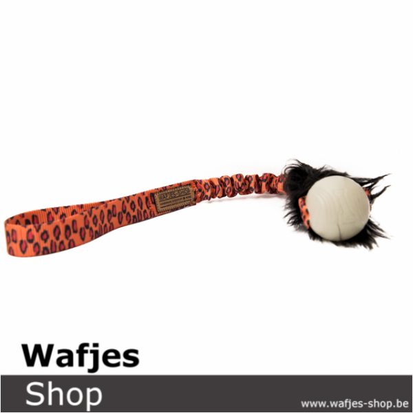 Wafjes-Leopard S