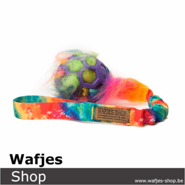 Wafjes-Rainbow