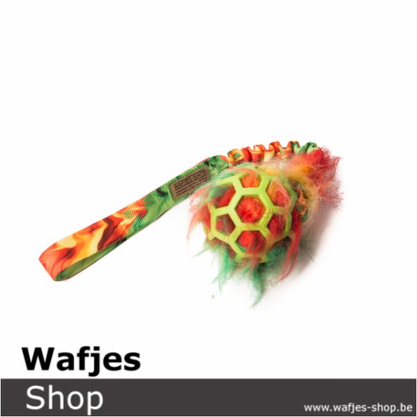 Wafjes-Rastah