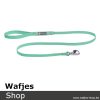 RuffWear Hi & Light Leash Sage Green