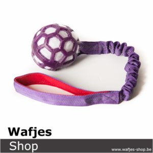 Bungee Purple Ball - White Fur - Purple Handle