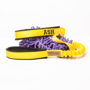 CustomMade Personalised Leash with half-check and Toy