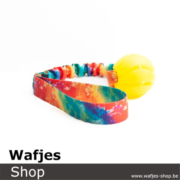 Bungee Rainbow Spiral | Yellow -S