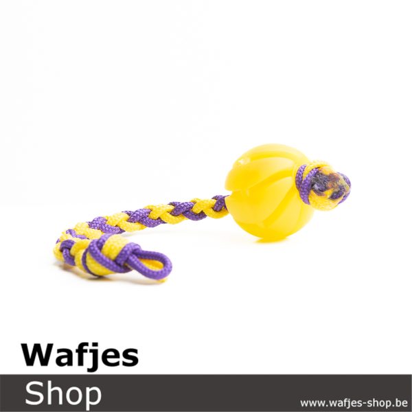 Rope Spiral XS | Purple-Yellow