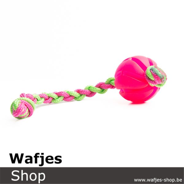 Rope Spiral XS | Pink-Green