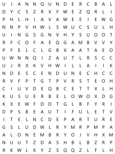 word search puzzle