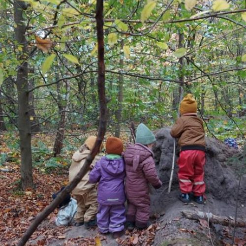 Kinder_wald