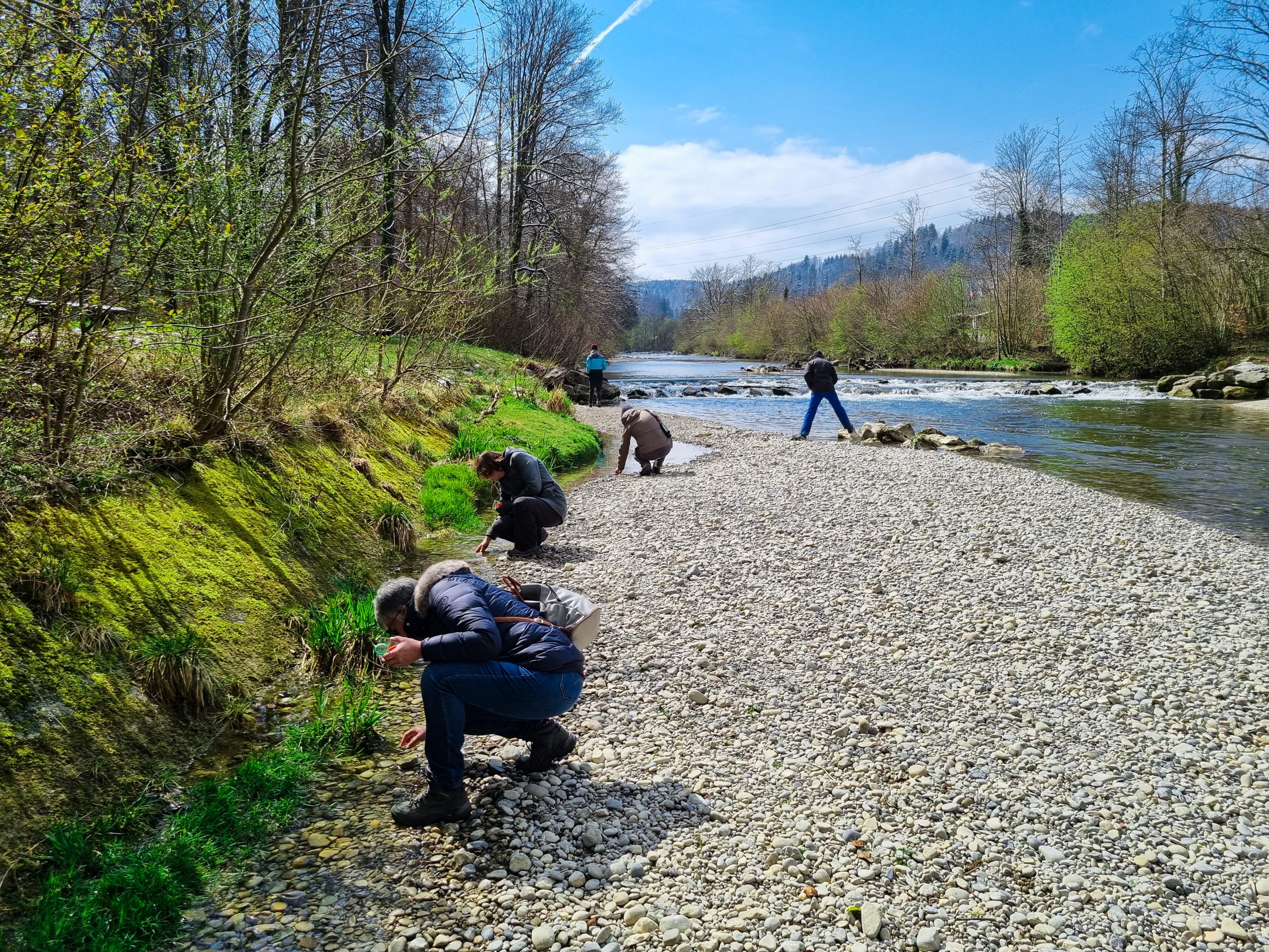 Foto Naturkurs Winterthur Töss, Gruppe sammelt Makrozoobentos