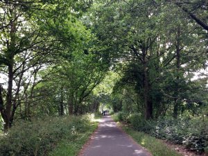 502427372_24053227294294290_4364534182573053672_n