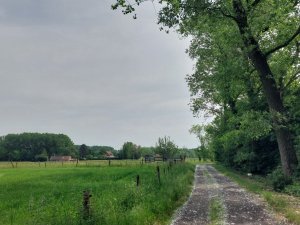 502454829_24053814280902258_7819626102178977768_n