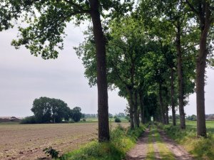 502459890_24053469894270030_7949587236561441758_n