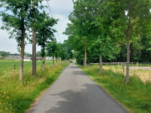 502462261_24053821094234910_3940279017834190199_n